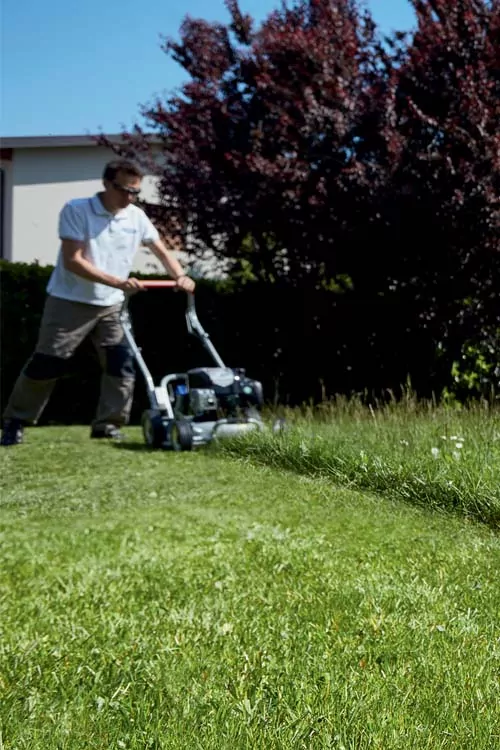 Garden Green Motoimplementos - 🧹Aspiradora Industrial 3000w 80