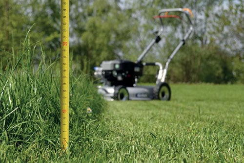 per il professionista erba alta ridimensionata